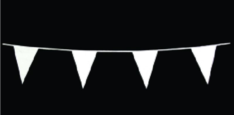 Vlaggenlijn 10 meter wit