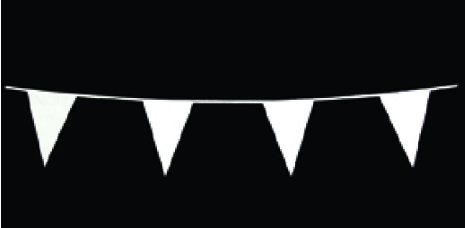 Vlaggenlijn 10 meter wit