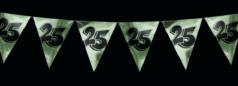 Vlaggenlijn 25 jaar zilver 10 meter