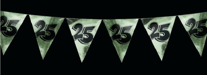 Vlaggenlijn 25 jaar zilver 10 meter