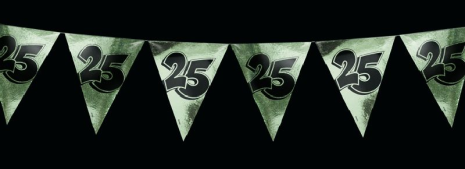 Vlaggenlijn 25 jaar zilver 10 meter