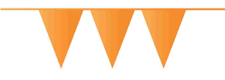 Vlaggenlijn 10 meter oranje