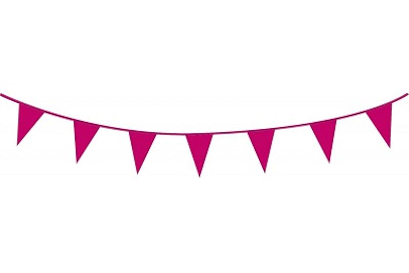 Vlaggenlijn 10 meter hardrose