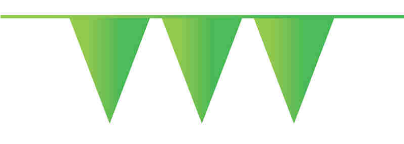 Vlaggenlijn 10 meter lichtgroen