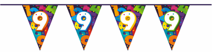 Vlaggenlijn Cijfers 10 meter - 9 jaar