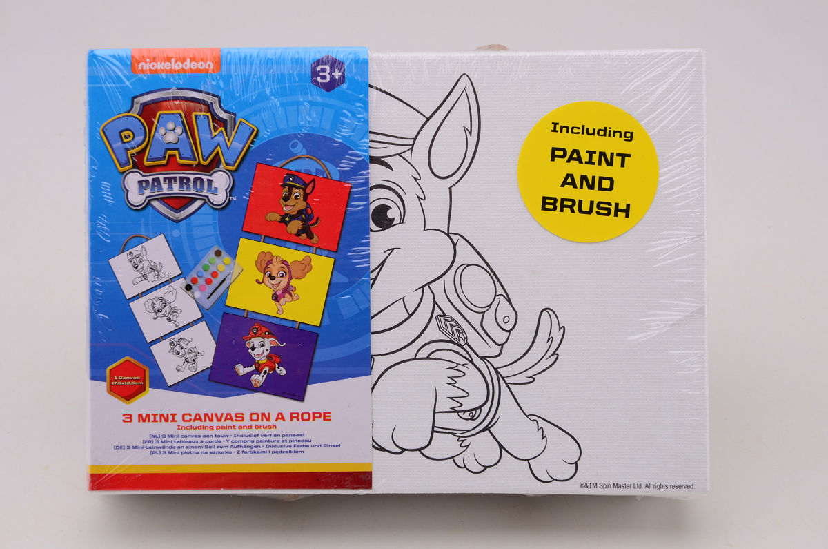 3 Mini Canvas op touw Paw Patrol