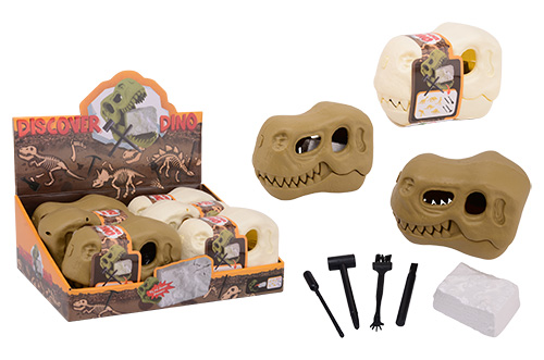 Dino schedel uithakset assorti in display