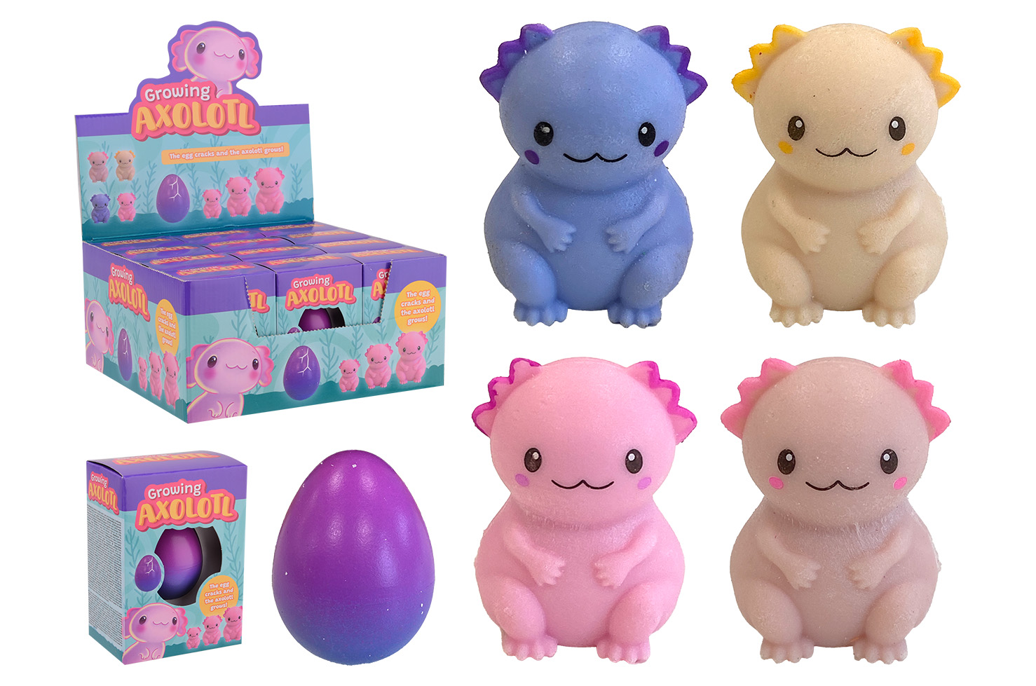 Groeiende Axolotl ei assorti