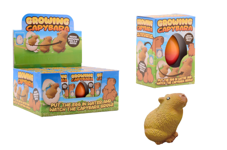 Groeiende Capybara ei in doos, 4 assorti