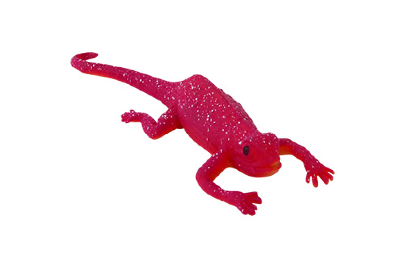 Kleurveranderende Kameleons in Display