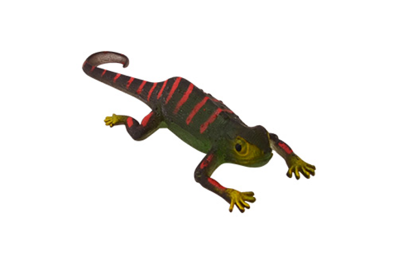 Kleurveranderende Kameleons in Display