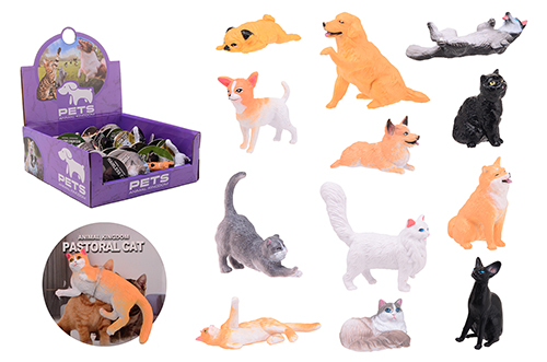 Animal World dieren op kaart in display - huisdieren