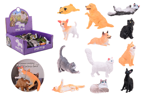 Animal World dieren op kaart in display - huisdieren