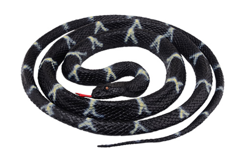 Opgerolde slang in display 4 assorti