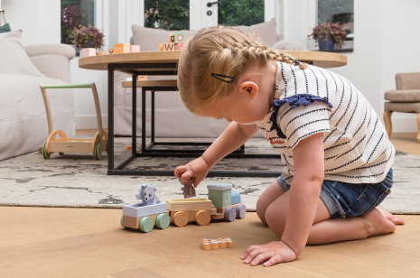 Joueco - The Wildies Family Treinset met dieren