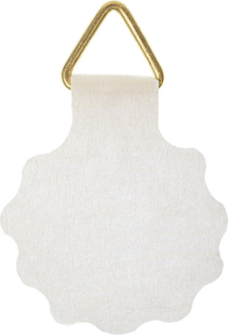 Fotohangers 30mm rond wit ds a 10 stuks