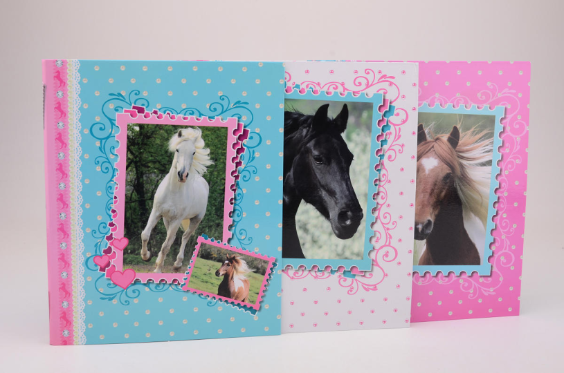 Ringband Paarden A4 2 rings assorti