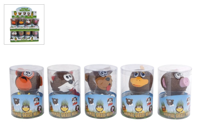 Grasvriendjes dieren verzorgen 7,5x12,5cm 5ass