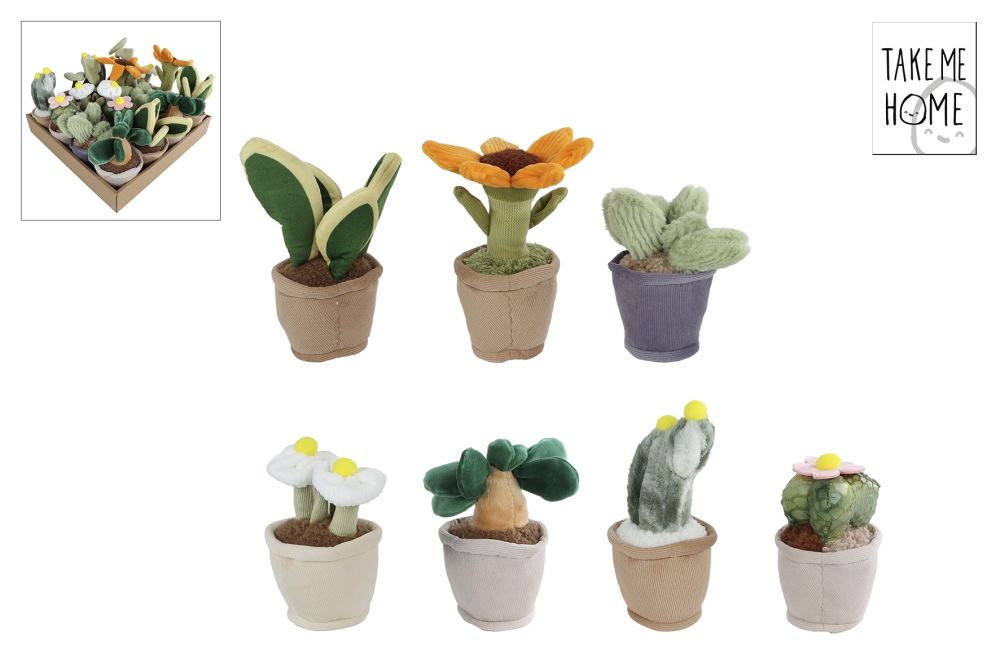 Take Me Home plant pluche 12-17cm assorti in disp