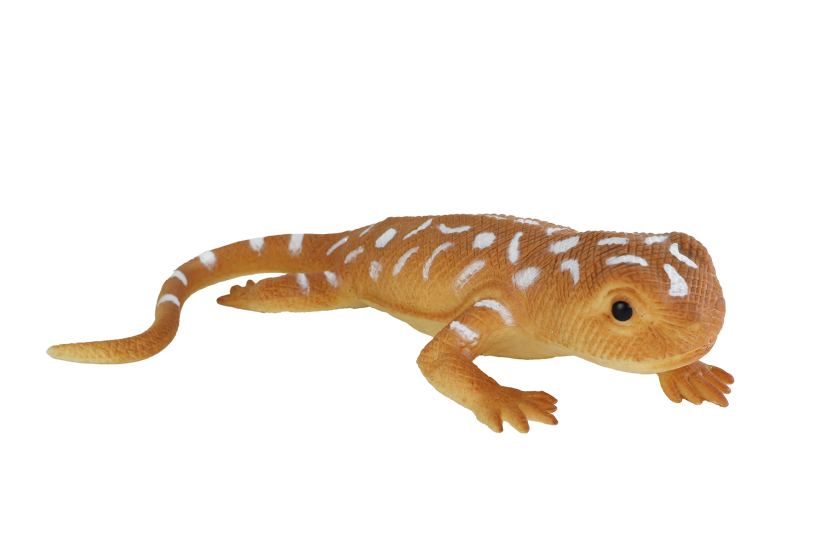 Jungle Expedition stretch dier color changing 3ass 14cm