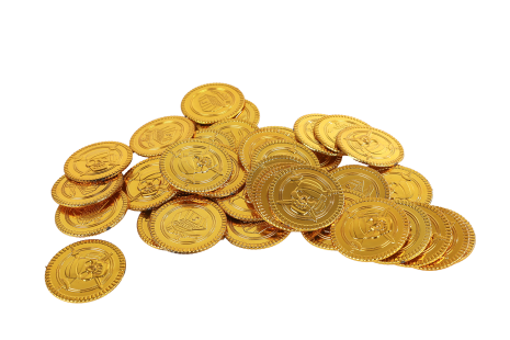 Destination Deep gouden munten 40 stuks in netje