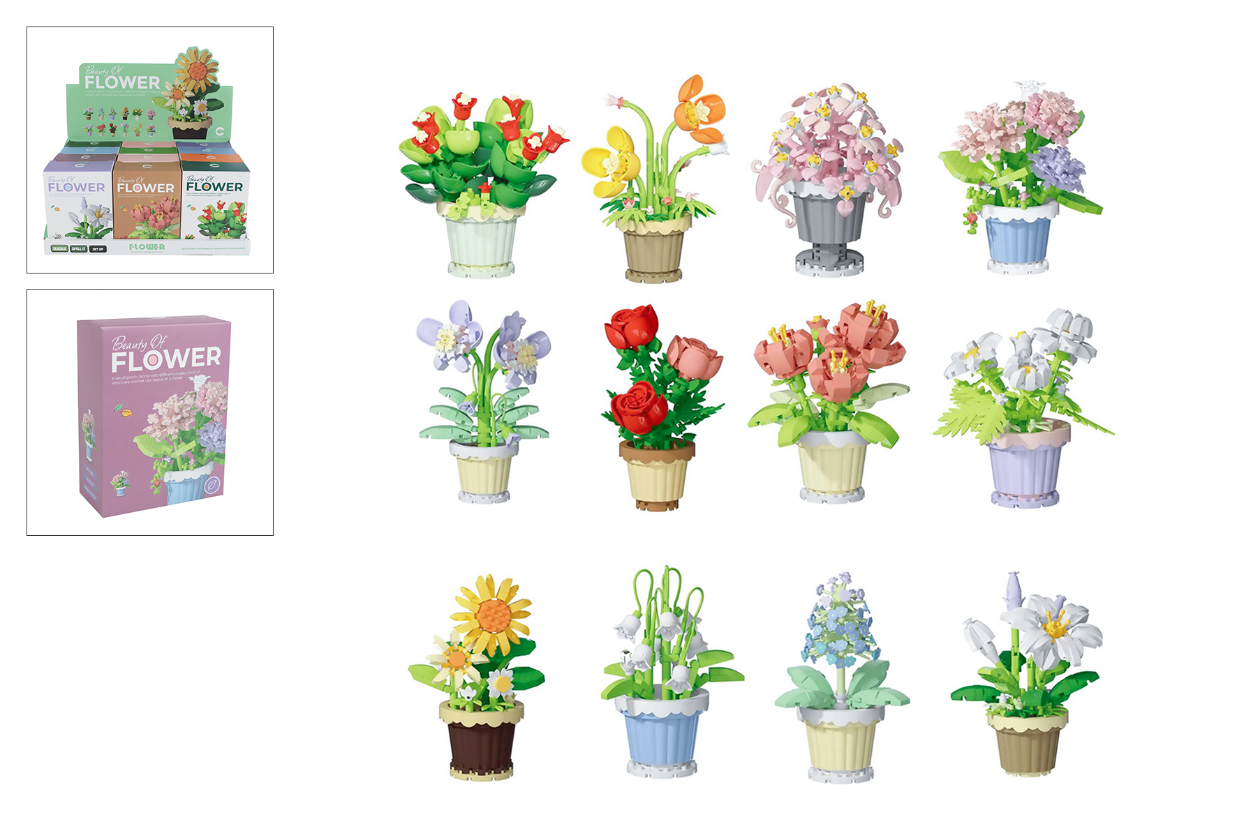 Bouwstenen planten in pot assorti in display