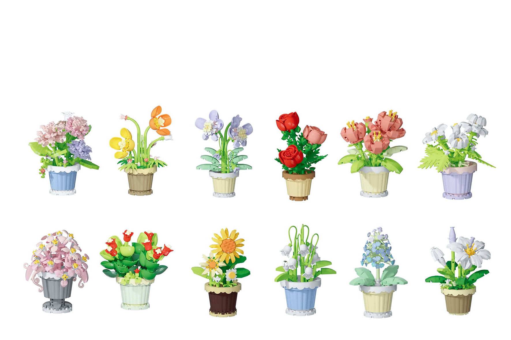 Bouwstenen planten in pot assorti in display