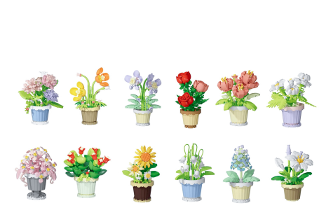 Bouwstenen planten in pot assorti in display