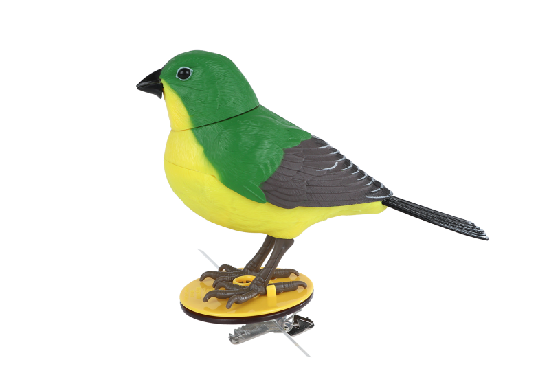 Vogel Singing Bird kunststof 12x4,5x9,5cm assorti