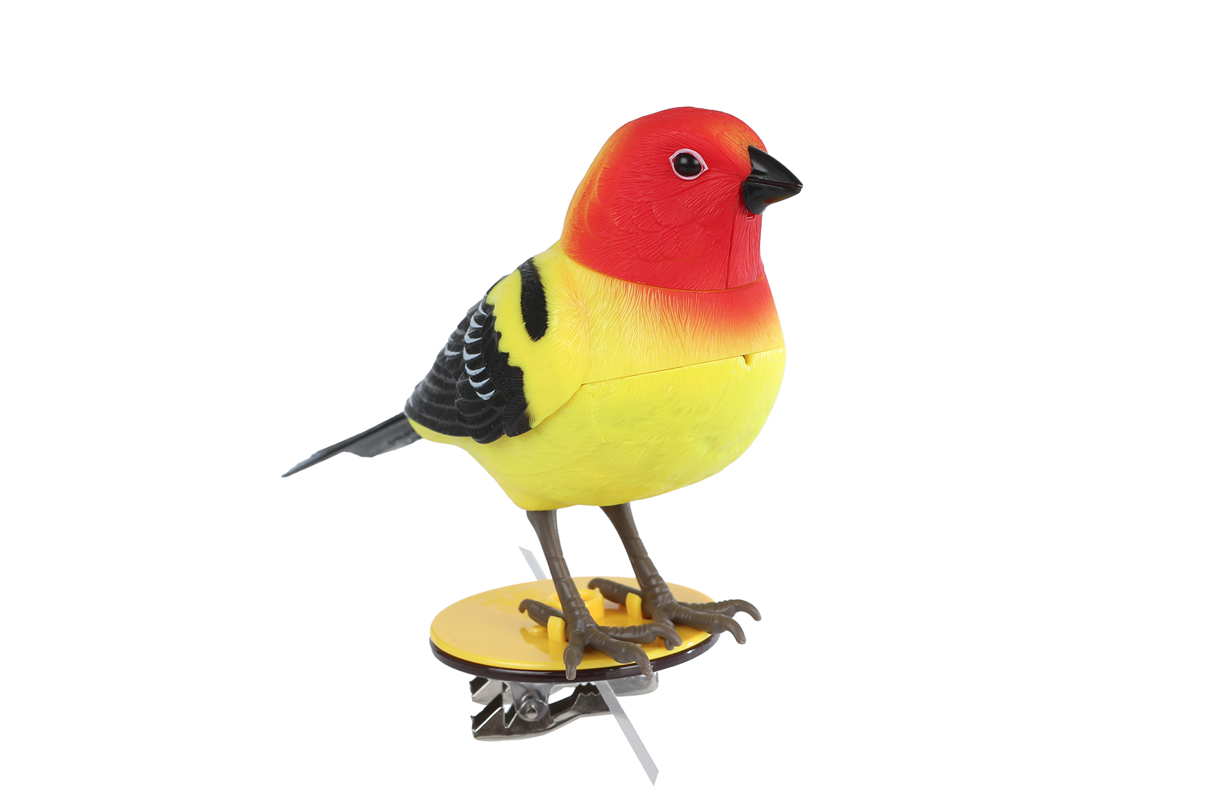 Vogel Singing Bird kunststof 12x4,5x9,5cm assorti