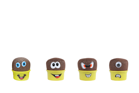 Grasvriendjes mini monsters 7,5x7,5cm 4ass
