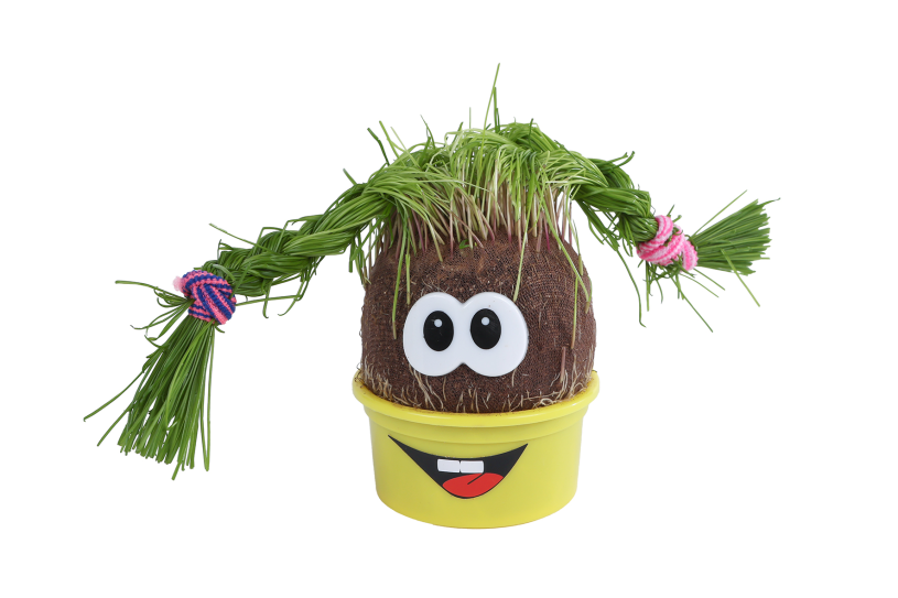 Grasvriendjes mini monsters 7,5x7,5cm 4ass