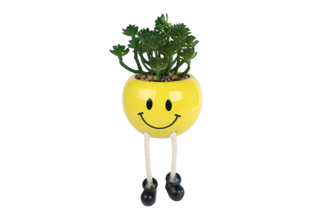 Bloempotje Smile met plantje geel aardew 9x9x13cm 4 assorti