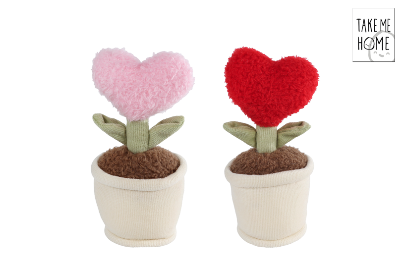 Take Me Home hart plant 2ass pluche 17cm