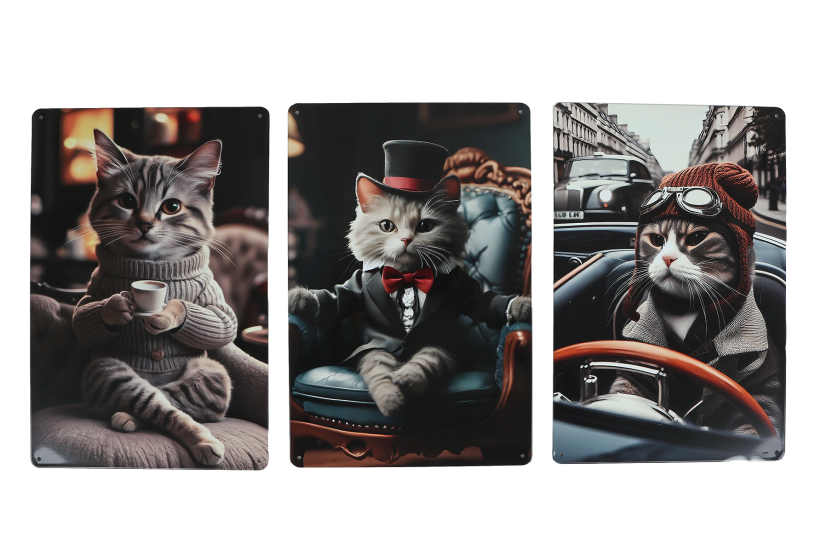 Wandbord Gentlemen Cat metaal 20x30x0,5cm assorti