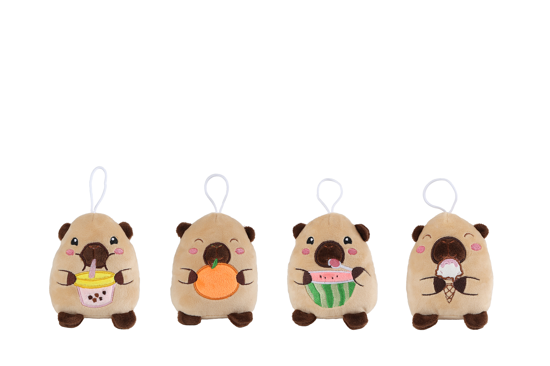 Take Me Home capibara pluche 4ass 14cm