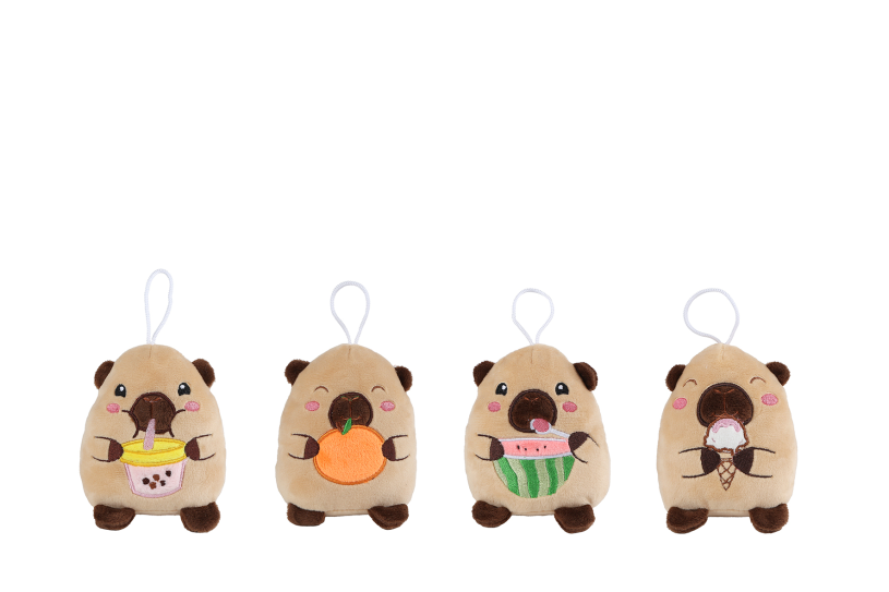 Take Me Home capibara pluche 4ass 14cm