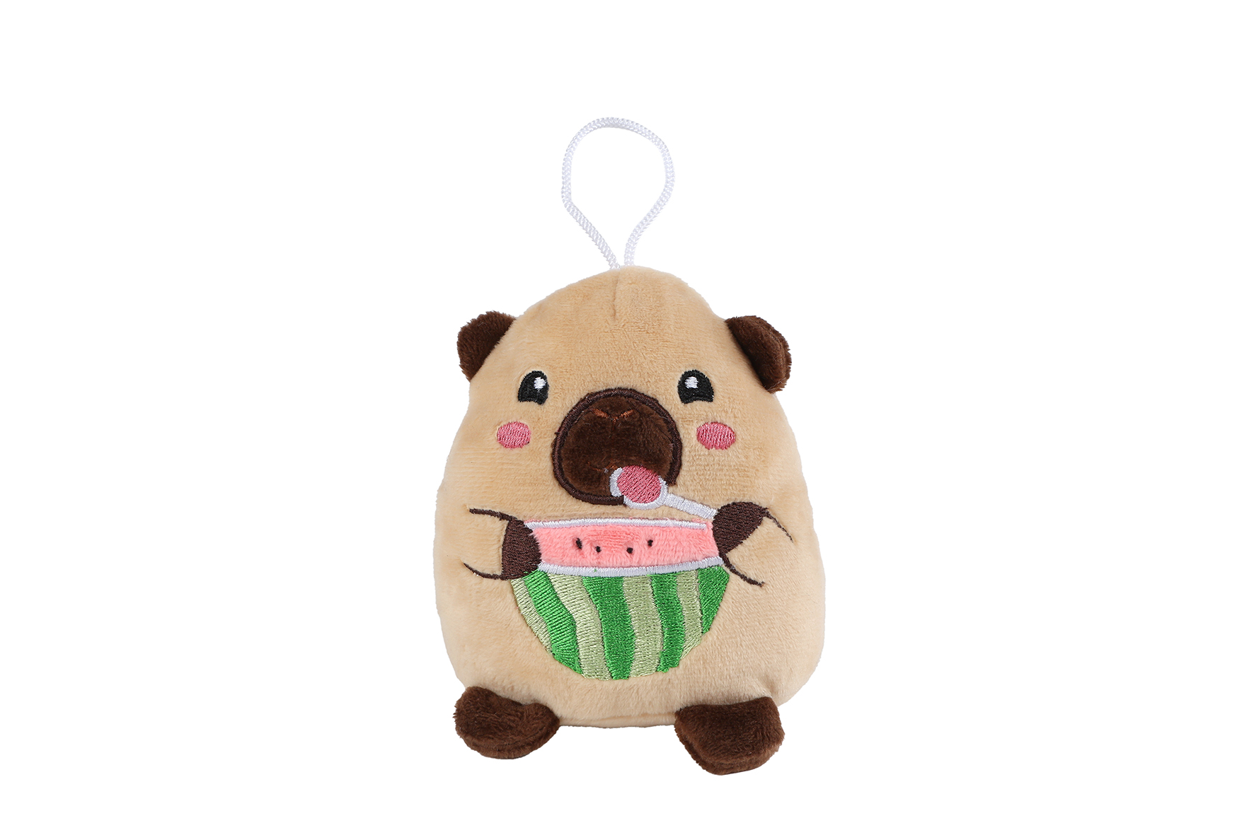 Take Me Home capibara pluche 4ass 14cm