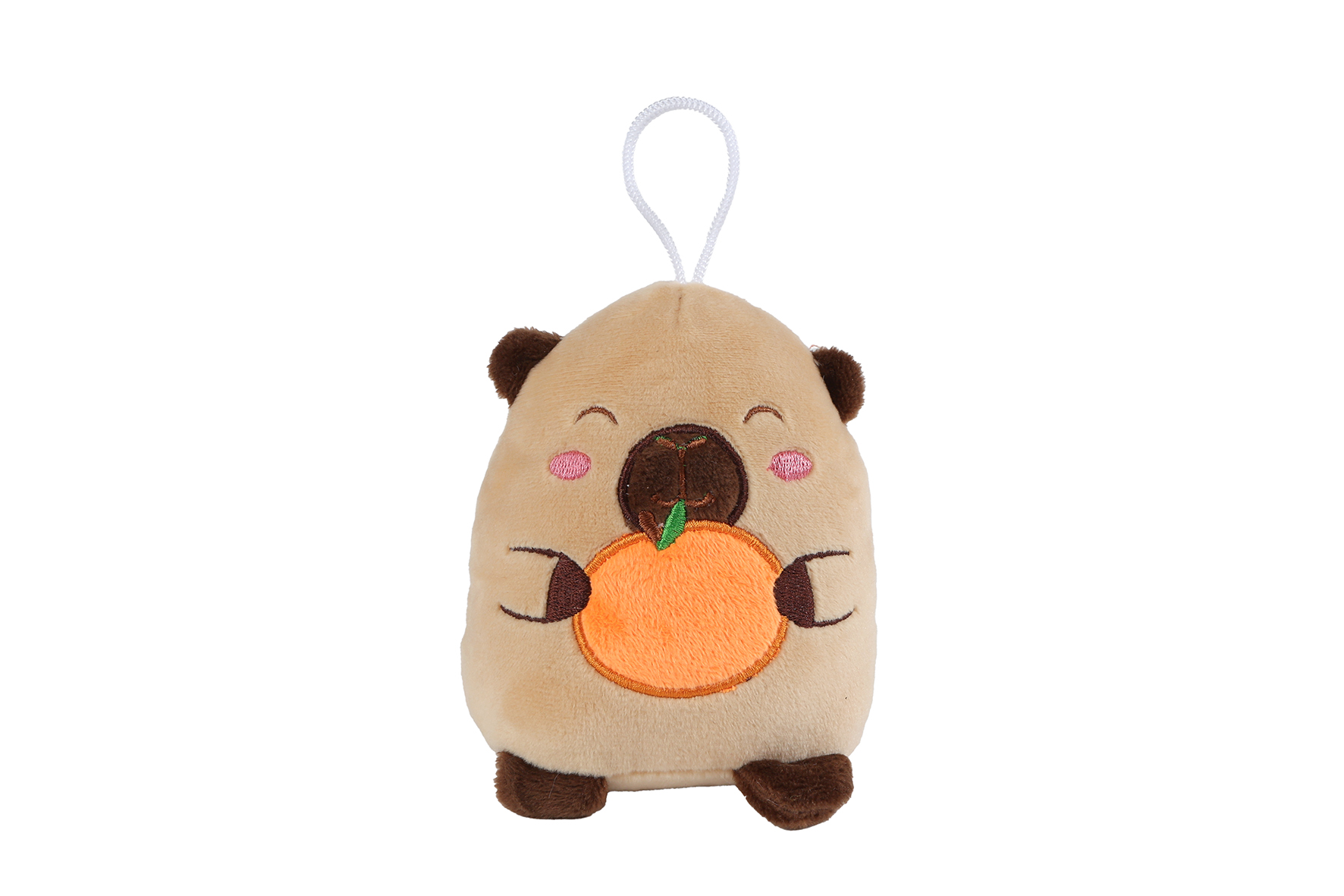 Take Me Home capibara pluche 4ass 14cm