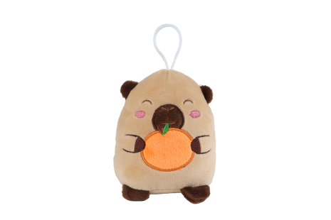 Take Me Home capibara pluche 4ass 14cm