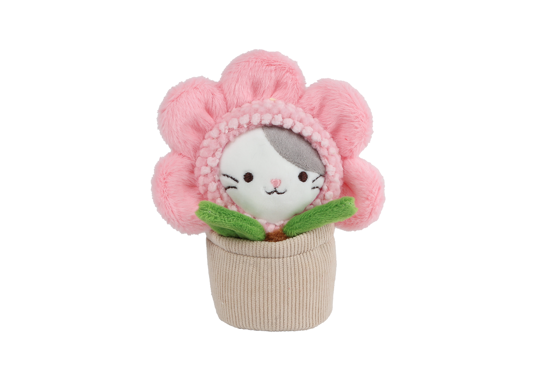 Take Me Home poes in pot pluche 3ass 16cm