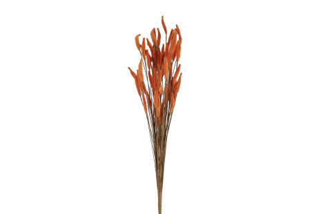 Kunsttak Grass 4ass 60cm