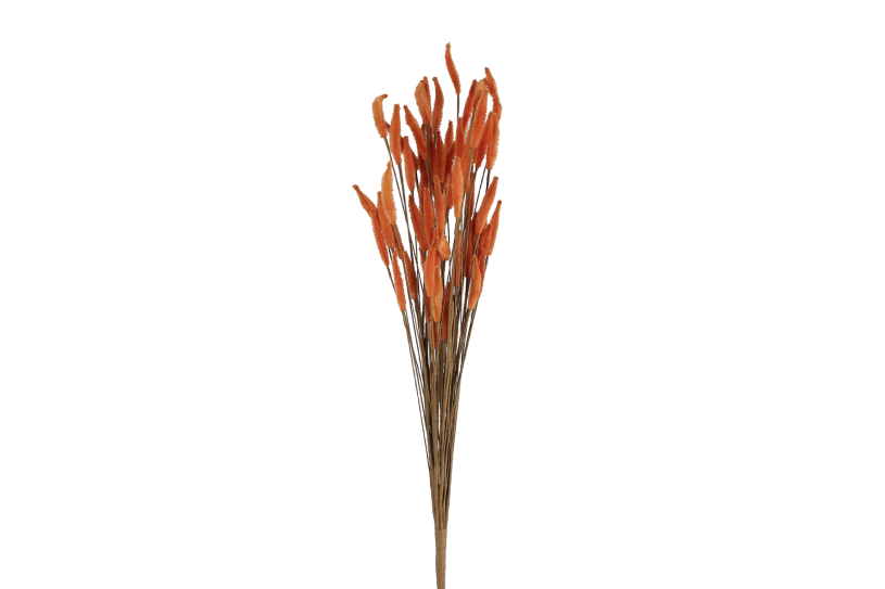 Kunsttak Grass 4ass 60cm