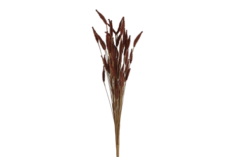 Kunsttak Grass 4ass 60cm