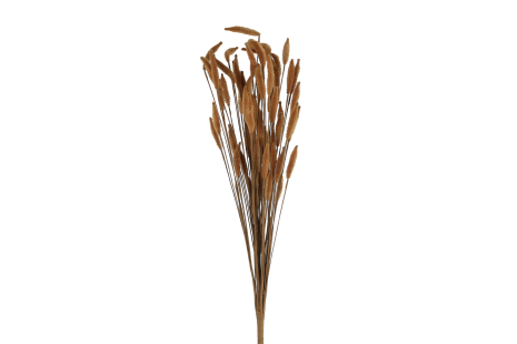 Kunsttak Grass 4ass 60cm