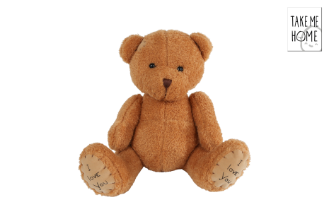 Take Me Home beer zittend pluche 25cm