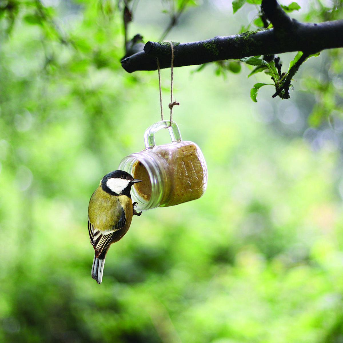 Esschert Design Vogelpindakaas in mok 2 ass.
