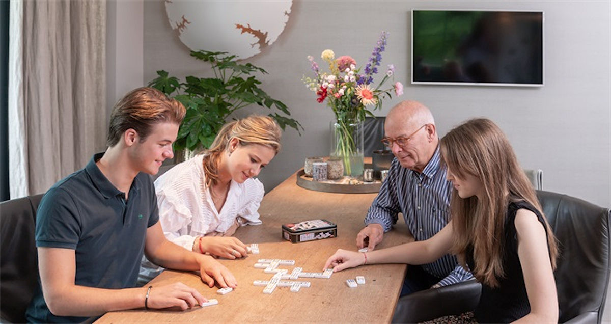 Domino dubbel 6 in blik