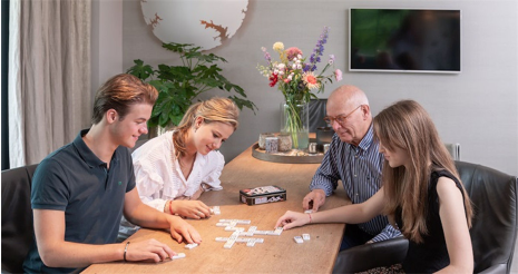 Domino dubbel 6 in blik