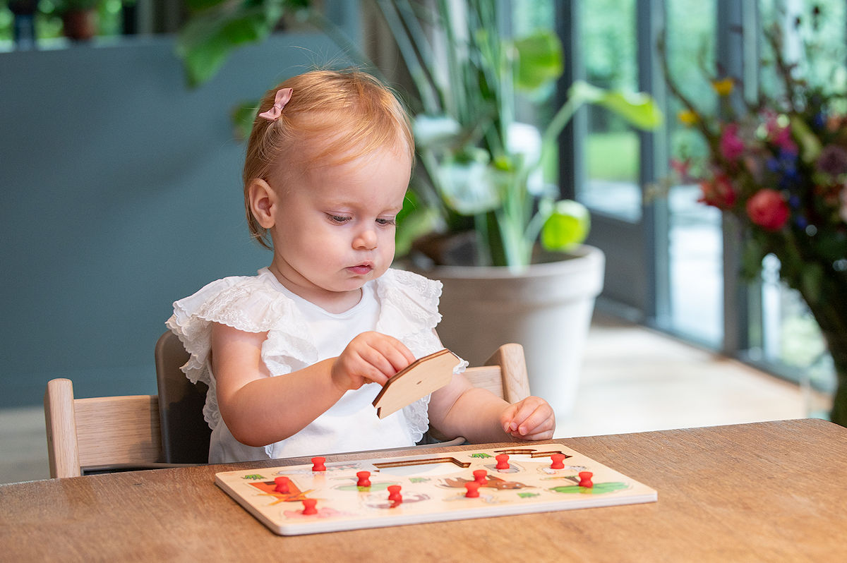 Houten knopjespuzzel +/- 30x22,5cm - Boerderij